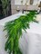6FTx1 Christmas Real Touch Norfolk Pine Garland Artificial Faux Greenery Garlands Christmas Norfolk Pine Garland for Christmas Holiday Seasonal Indoor Mantle Decor, LFK-TD101